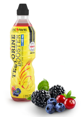 Image BOISSON TESTO FRUITS  ROUGES 500ML